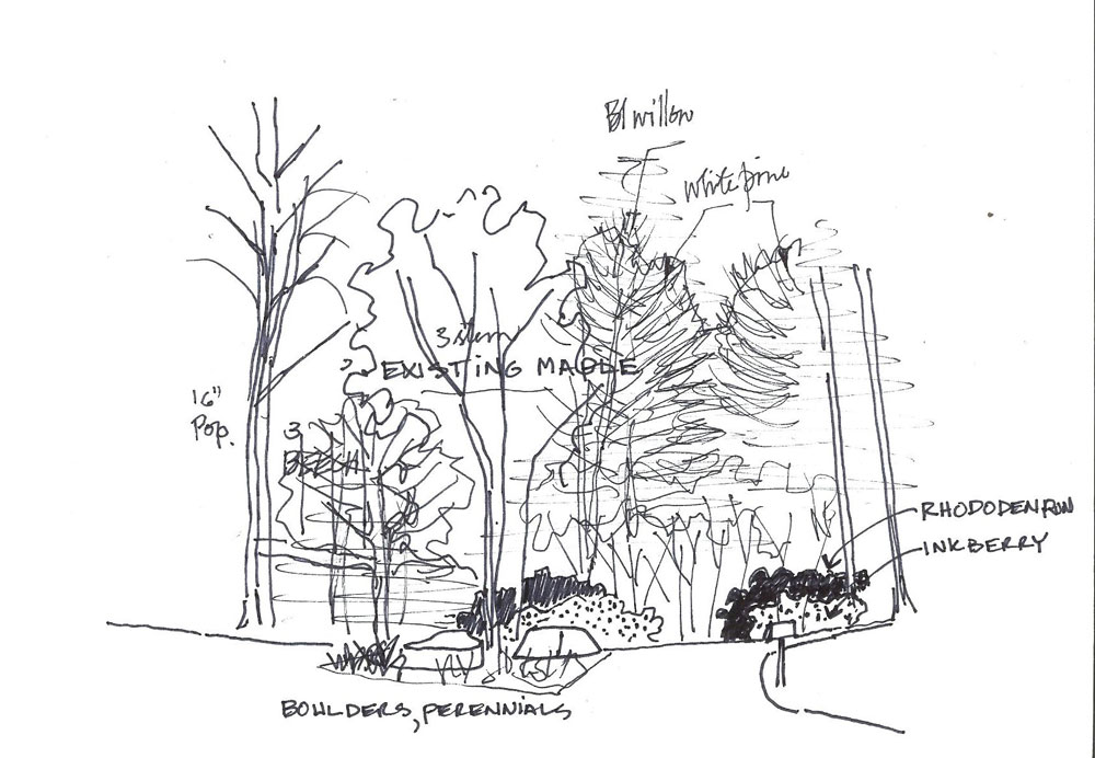 Forest Design Sketch