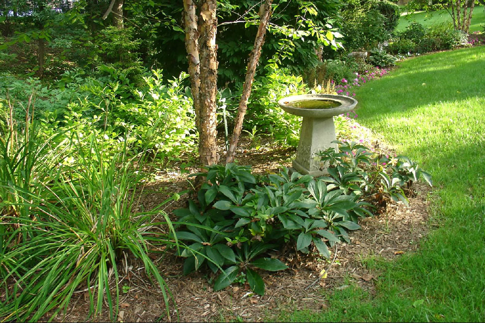 Michigan Garden